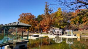 大宮公園舟遊池の紅葉