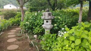長念寺のあじさいと灯籠