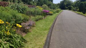 森林公園都市緑化植物園のボーダーガーデン