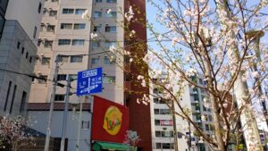 日暮里中央通りと桜