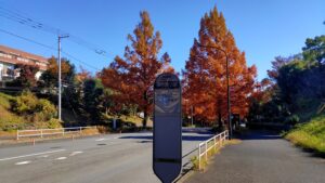 多摩市メタセコイア通りとバス停