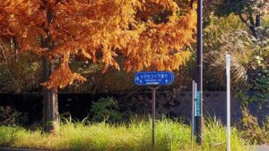 多摩市メタセコイア通りの標識