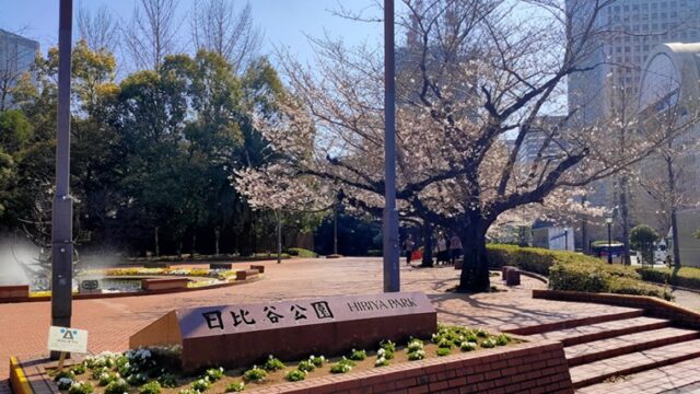 日比谷公園の桜