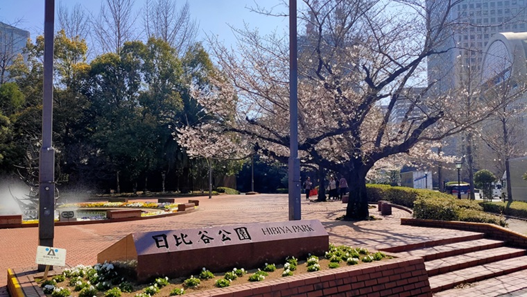 日比谷公園の桜