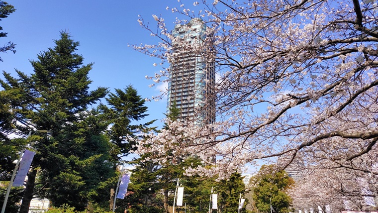 東京ミッドタウンの桜