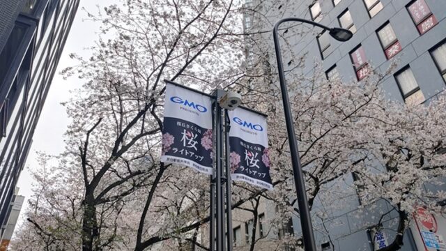 桜丘町さくら通りの桜