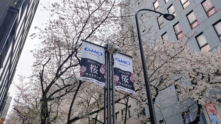 桜丘町さくら通りの桜